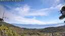 ./images/calvert/fitz-hugh-hecate/20260618/fitz-hugh-hecate20260618_110501M.jpg