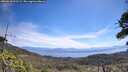 ./images/calvert/fitz-hugh-hecate/20260618/fitz-hugh-hecate20260618_111501M.jpg