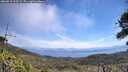 ./images/calvert/fitz-hugh-hecate/20260618/fitz-hugh-hecate20260618_113501M.jpg