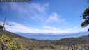 ./images/calvert/fitz-hugh-hecate/20260618/fitz-hugh-hecate20260618_114502M.jpg