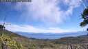 ./images/calvert/fitz-hugh-hecate/20260618/fitz-hugh-hecate20260618_115501M.jpg