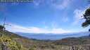 ./images/calvert/fitz-hugh-hecate/20260618/fitz-hugh-hecate20260618_120002M.jpg