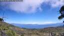 ./images/calvert/fitz-hugh-hecate/20260618/fitz-hugh-hecate20260618_130002M.jpg