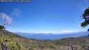./images/calvert/fitz-hugh-hecate/20260618/fitz-hugh-hecate20260618_130501M.jpg