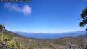 ./images/calvert/fitz-hugh-hecate/20260618/fitz-hugh-hecate20260618_135501M.jpg