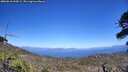 ./images/calvert/fitz-hugh-hecate/20260618/fitz-hugh-hecate20260618_144501M.jpg