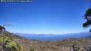 ./images/calvert/fitz-hugh-hecate/20260618/fitz-hugh-hecate20260618_151001M.jpg