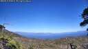 ./images/calvert/fitz-hugh-hecate/20260618/fitz-hugh-hecate20260618_153002M.jpg