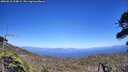 ./images/calvert/fitz-hugh-hecate/20260618/fitz-hugh-hecate20260618_154001M.jpg