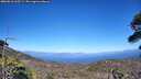 ./images/calvert/fitz-hugh-hecate/20260618/fitz-hugh-hecate20260618_163501M.jpg