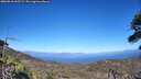 ./images/calvert/fitz-hugh-hecate/20260618/fitz-hugh-hecate20260618_165501M.jpg