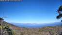 ./images/calvert/fitz-hugh-hecate/20260618/fitz-hugh-hecate20260618_173002M.jpg