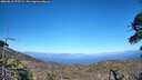 ./images/calvert/fitz-hugh-hecate/20260618/fitz-hugh-hecate20260618_175501M.jpg