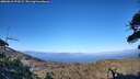 ./images/calvert/fitz-hugh-hecate/20260618/fitz-hugh-hecate20260618_193502M.jpg