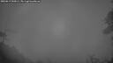 ./images/calvert/fitz-hugh-hecate/20260619/fitz-hugh-hecate20260619_043001M.jpg