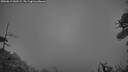 ./images/calvert/fitz-hugh-hecate/20260619/fitz-hugh-hecate20260619_043501M.jpg