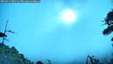 ./images/calvert/fitz-hugh-hecate/20260619/fitz-hugh-hecate20260619_081501M.jpg