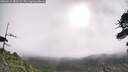 ./images/calvert/fitz-hugh-hecate/20260619/fitz-hugh-hecate20260619_083501M.jpg
