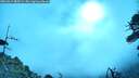 ./images/calvert/fitz-hugh-hecate/20260619/fitz-hugh-hecate20260619_085501M.jpg