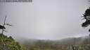 ./images/calvert/fitz-hugh-hecate/20260619/fitz-hugh-hecate20260619_103002M.jpg
