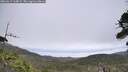 ./images/calvert/fitz-hugh-hecate/20260619/fitz-hugh-hecate20260619_110001M.jpg