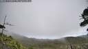 ./images/calvert/fitz-hugh-hecate/20260619/fitz-hugh-hecate20260619_110501M.jpg
