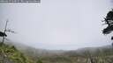 ./images/calvert/fitz-hugh-hecate/20260619/fitz-hugh-hecate20260619_114502M.jpg