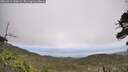 ./images/calvert/fitz-hugh-hecate/20260619/fitz-hugh-hecate20260619_130002M.jpg