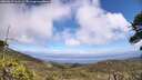 ./images/calvert/fitz-hugh-hecate/20260619/fitz-hugh-hecate20260619_133501M.jpg
