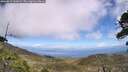 ./images/calvert/fitz-hugh-hecate/20260619/fitz-hugh-hecate20260619_141002M.jpg