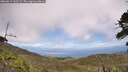 ./images/calvert/fitz-hugh-hecate/20260619/fitz-hugh-hecate20260619_141501M.jpg