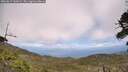 ./images/calvert/fitz-hugh-hecate/20260619/fitz-hugh-hecate20260619_142002M.jpg