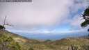 ./images/calvert/fitz-hugh-hecate/20260619/fitz-hugh-hecate20260619_144502M.jpg