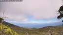 ./images/calvert/fitz-hugh-hecate/20260619/fitz-hugh-hecate20260619_145002M.jpg