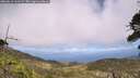 ./images/calvert/fitz-hugh-hecate/20260619/fitz-hugh-hecate20260619_145502M.jpg