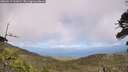 ./images/calvert/fitz-hugh-hecate/20260619/fitz-hugh-hecate20260619_151001M.jpg