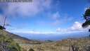 ./images/calvert/fitz-hugh-hecate/20260619/fitz-hugh-hecate20260619_154001M.jpg