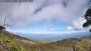./images/calvert/fitz-hugh-hecate/20260619/fitz-hugh-hecate20260619_155501M.jpg