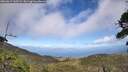 ./images/calvert/fitz-hugh-hecate/20260619/fitz-hugh-hecate20260619_162502M.jpg
