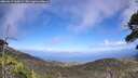 ./images/calvert/fitz-hugh-hecate/20260619/fitz-hugh-hecate20260619_164501M.jpg