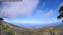 ./images/calvert/fitz-hugh-hecate/20260619/fitz-hugh-hecate20260619_165001M.jpg