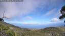 ./images/calvert/fitz-hugh-hecate/20260619/fitz-hugh-hecate20260619_170001M.jpg