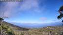 ./images/calvert/fitz-hugh-hecate/20260619/fitz-hugh-hecate20260619_171501M.jpg