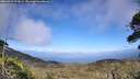 ./images/calvert/fitz-hugh-hecate/20260619/fitz-hugh-hecate20260619_172001M.jpg
