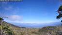 ./images/calvert/fitz-hugh-hecate/20260619/fitz-hugh-hecate20260619_172501M.jpg