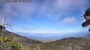./images/calvert/fitz-hugh-hecate/20260619/fitz-hugh-hecate20260619_173001M.jpg