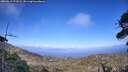 ./images/calvert/fitz-hugh-hecate/20260619/fitz-hugh-hecate20260619_173501M.jpg