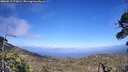 ./images/calvert/fitz-hugh-hecate/20260619/fitz-hugh-hecate20260619_175001M.jpg
