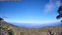 ./images/calvert/fitz-hugh-hecate/20260619/fitz-hugh-hecate20260619_175501M.jpg