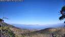 ./images/calvert/fitz-hugh-hecate/20260619/fitz-hugh-hecate20260619_184002M.jpg